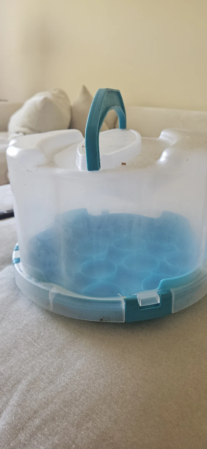 Clear Plastic Cake Carrier with Teal Handle