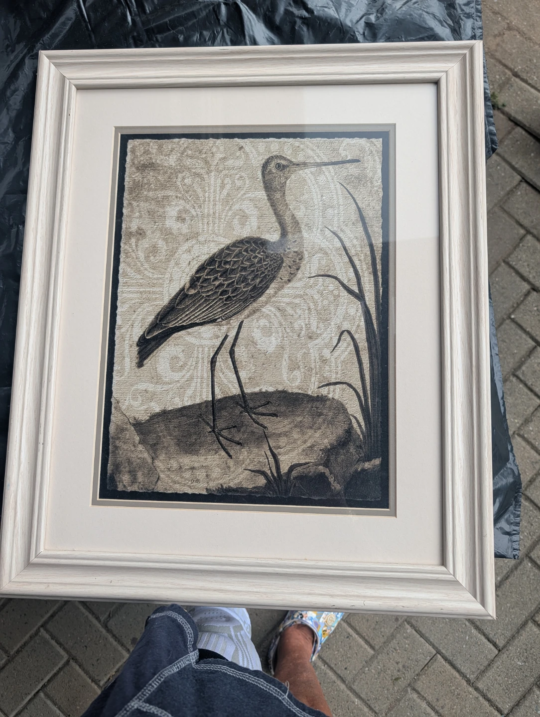 Framed Artwork - Bird Print - photo 2