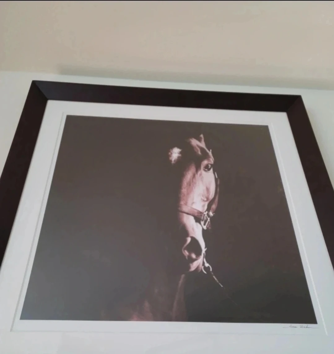 Framed Horse Portrait Wall Art - photo 2