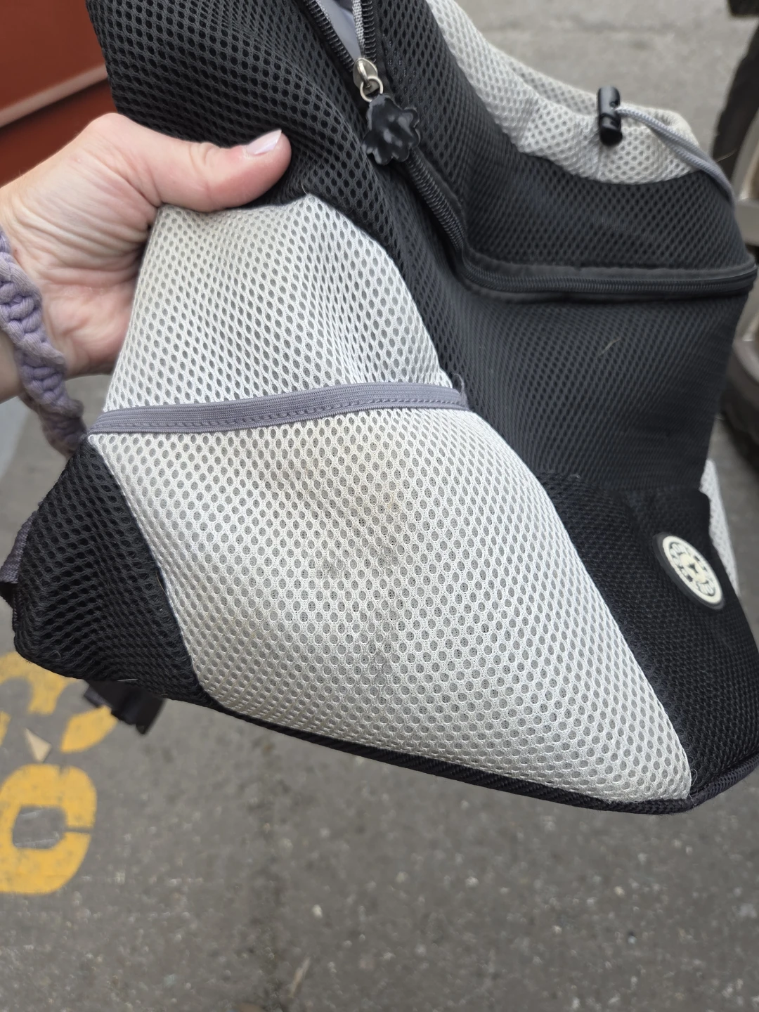 Black & Grey Mesh Dog Backpack - photo 3