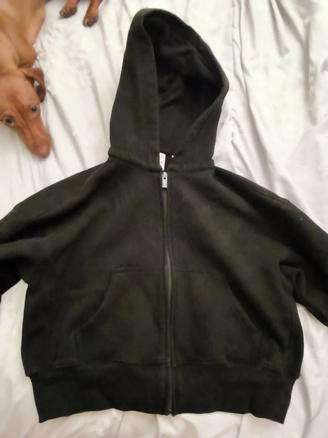 Aritzia Black Zip-Up Hoodie