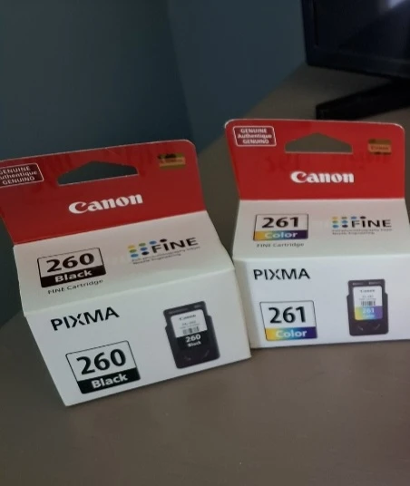 Canon printer ink