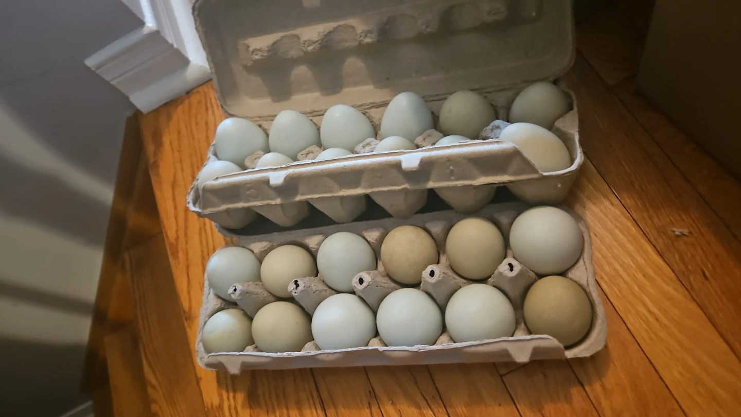 Local farm pick up - photo 3