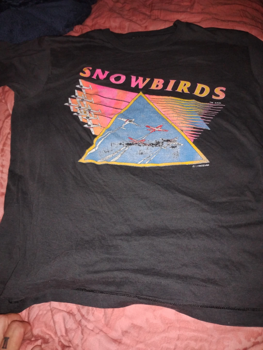 Vintage Snowbirds Canadian Air Force T-Shirt