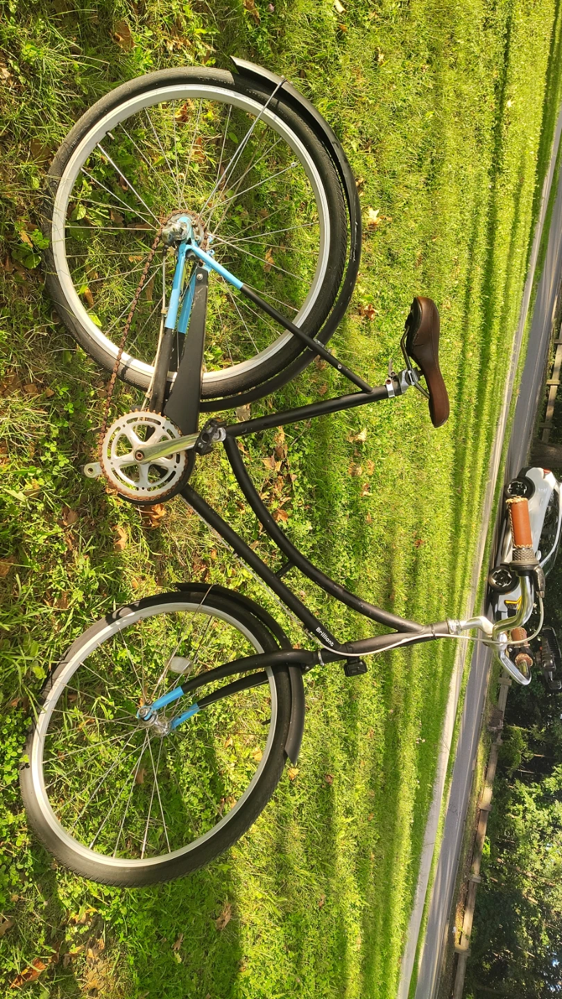 Black Cruiser Bicycle - photo 3