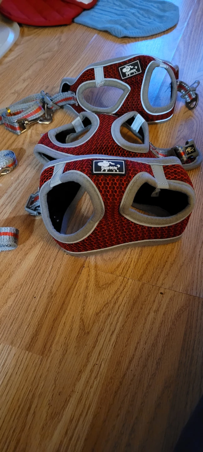 Three Duomm dog harnesses with leashes