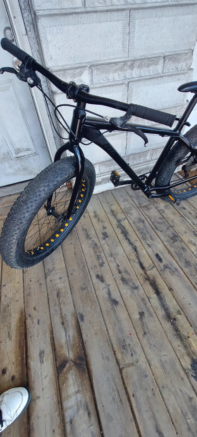 Fat Tire Bike - photo 3