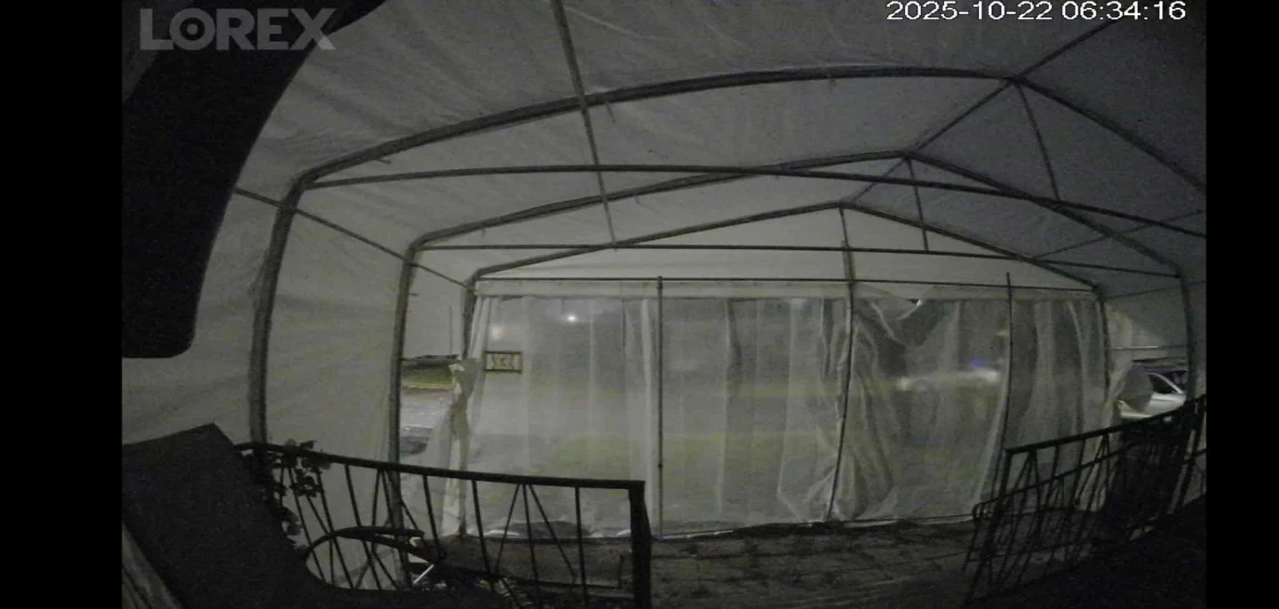 Abris d'auto double /double car shelter - photo 3