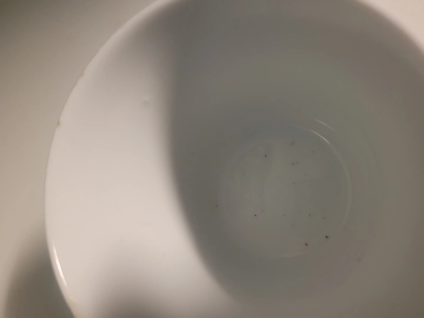 Jacqueline pattern Interiors Indonesia cup/saucer - photo 5