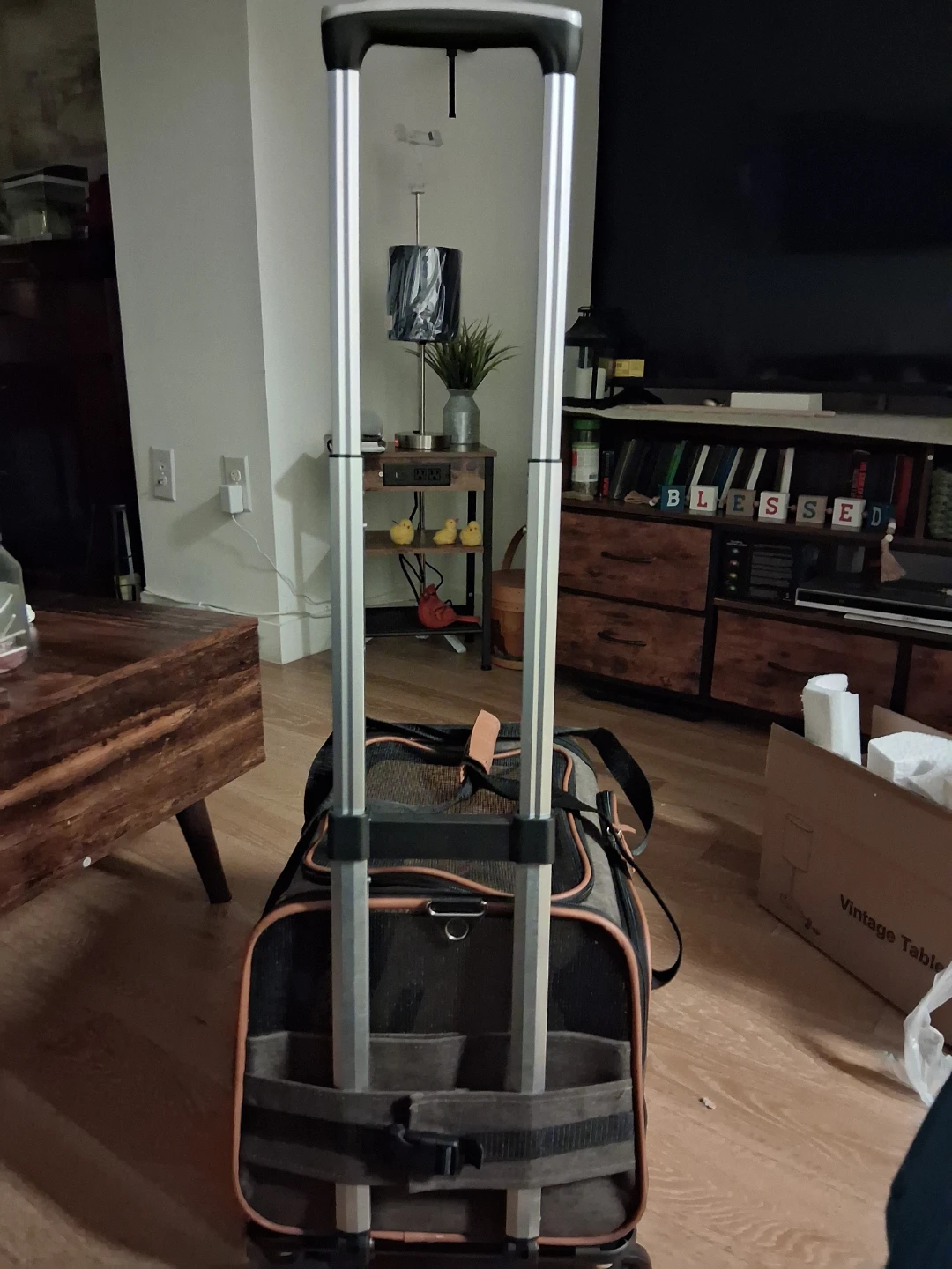 Gray Pet Carrier with Wheels - photo 3