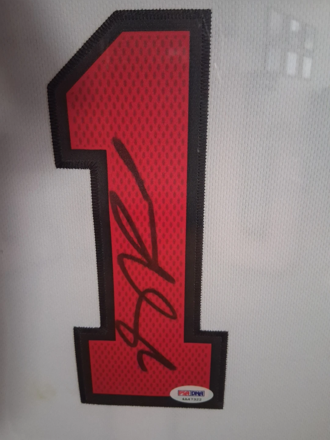 Derrick Rose Chicago Bulls Autographed Jersey - photo 2
