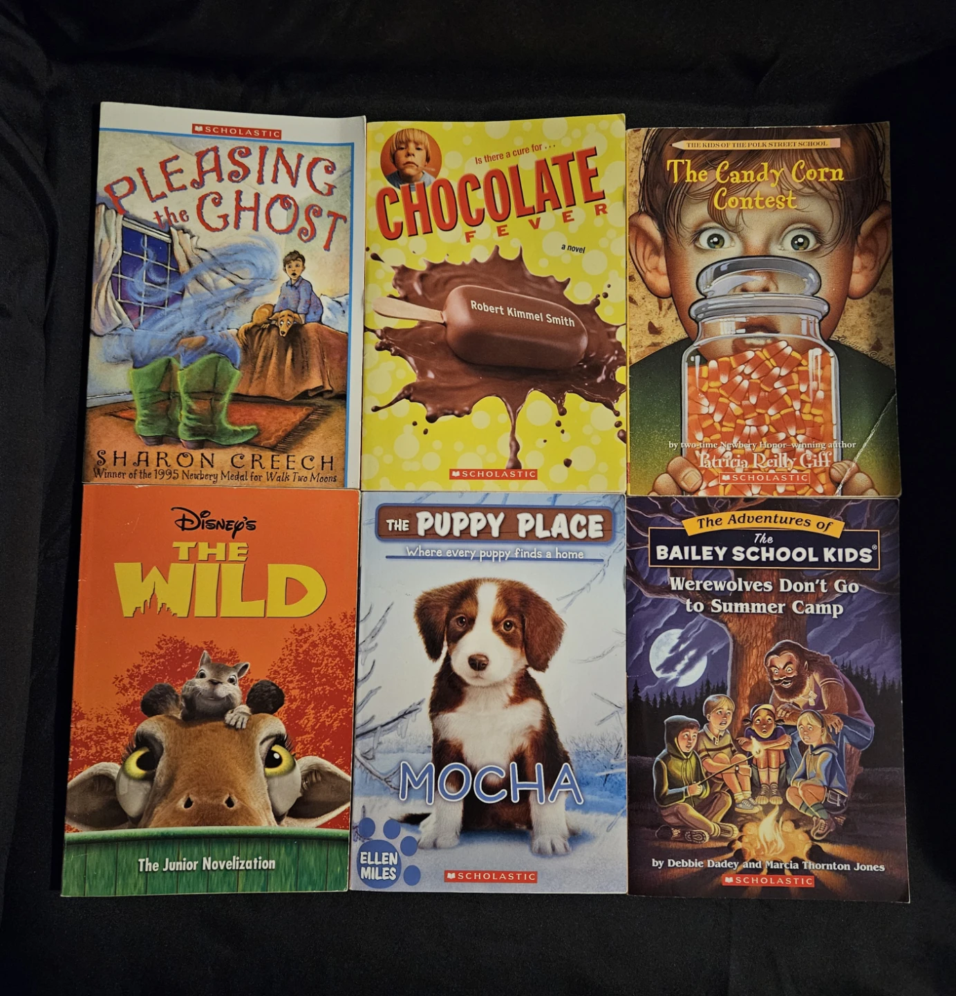 Scholastic Children's Chapter Books Bundle