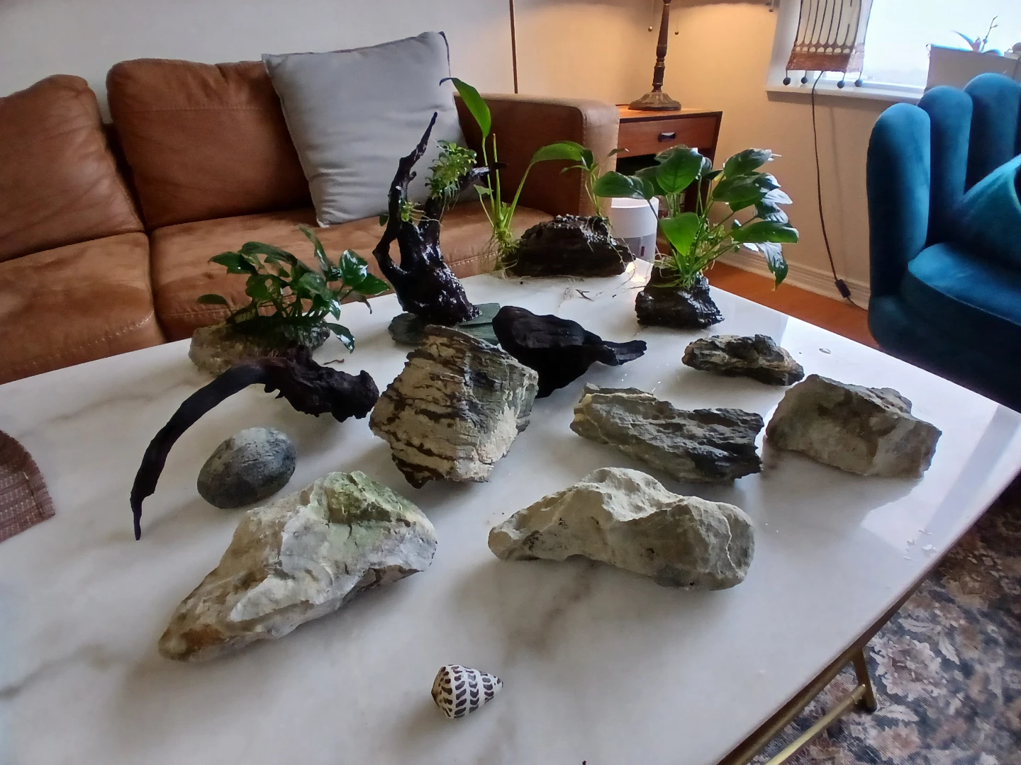 Aquarium Plants and Hardscape Decor