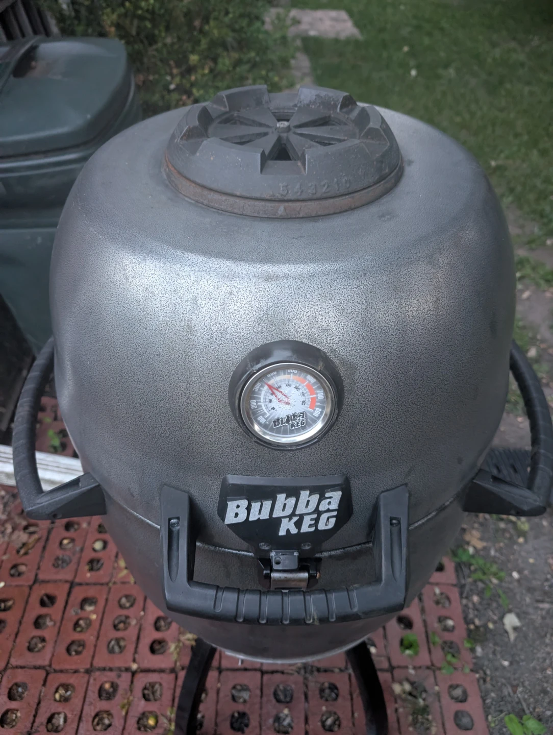 Kamado Style Grill