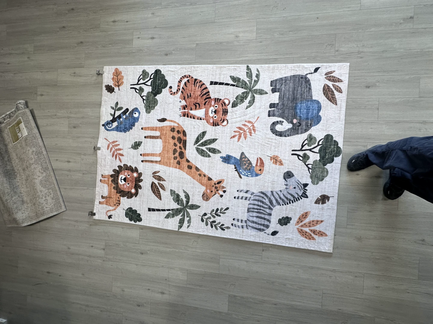 Kids' Animal and Floral Area Rugs 5 × 7 - photo 3