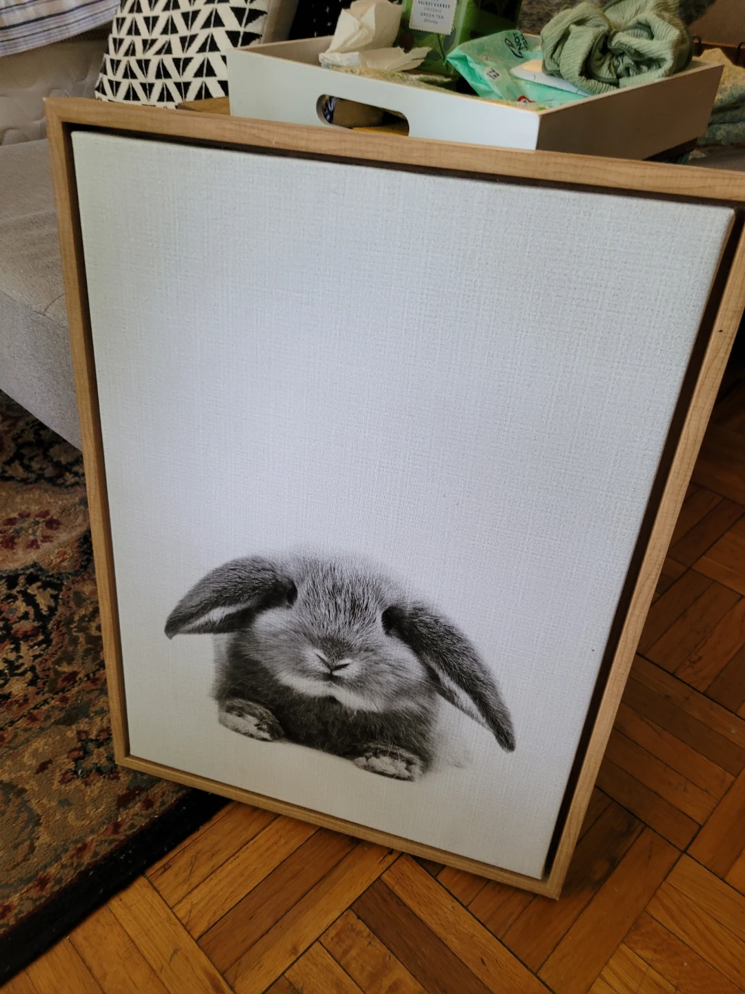 Framed Canvas Wall Art - Cute Bunny