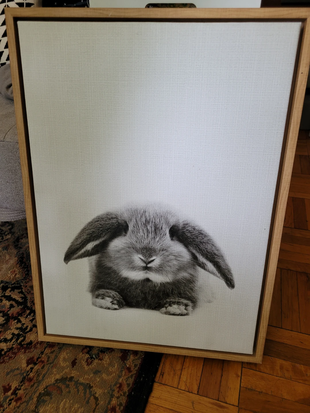 Framed Canvas Wall Art - Cute Bunny - photo 5