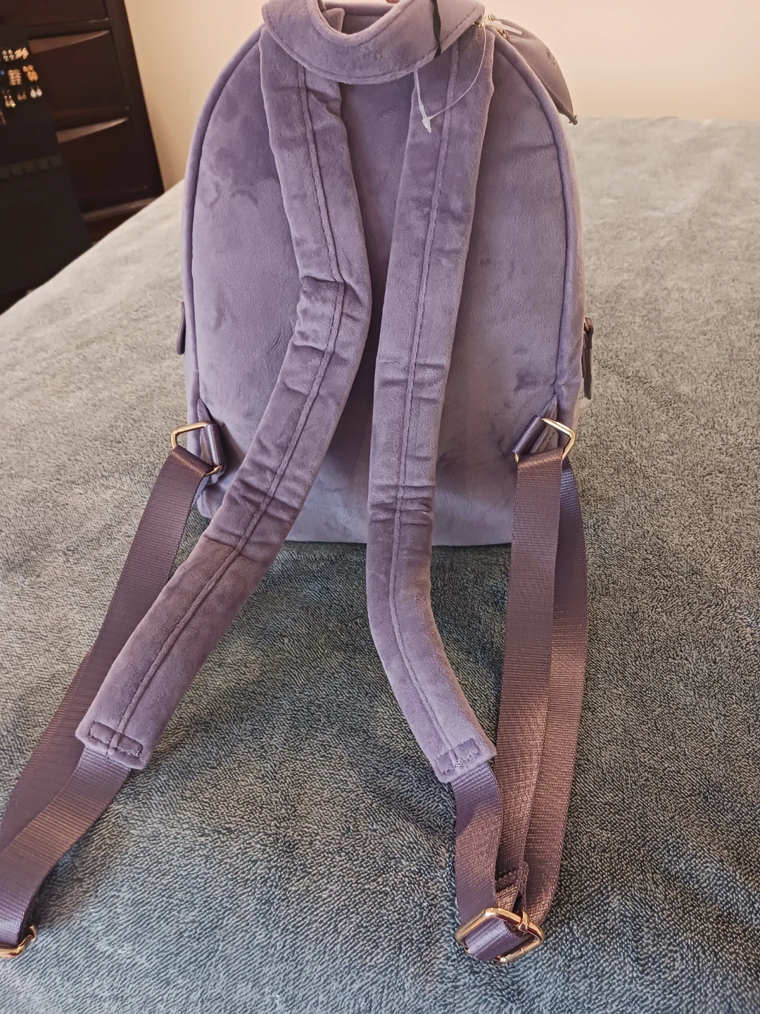 Juicy Couture Velvet Mini Backpack - photo 2