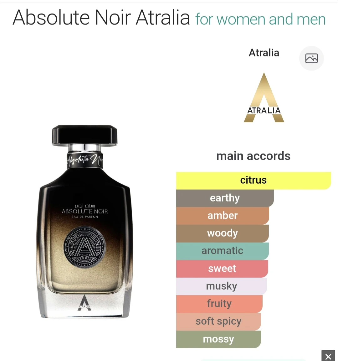 Atralia Absolute Noir Eau de Parfum for Men 100 ml - photo 2