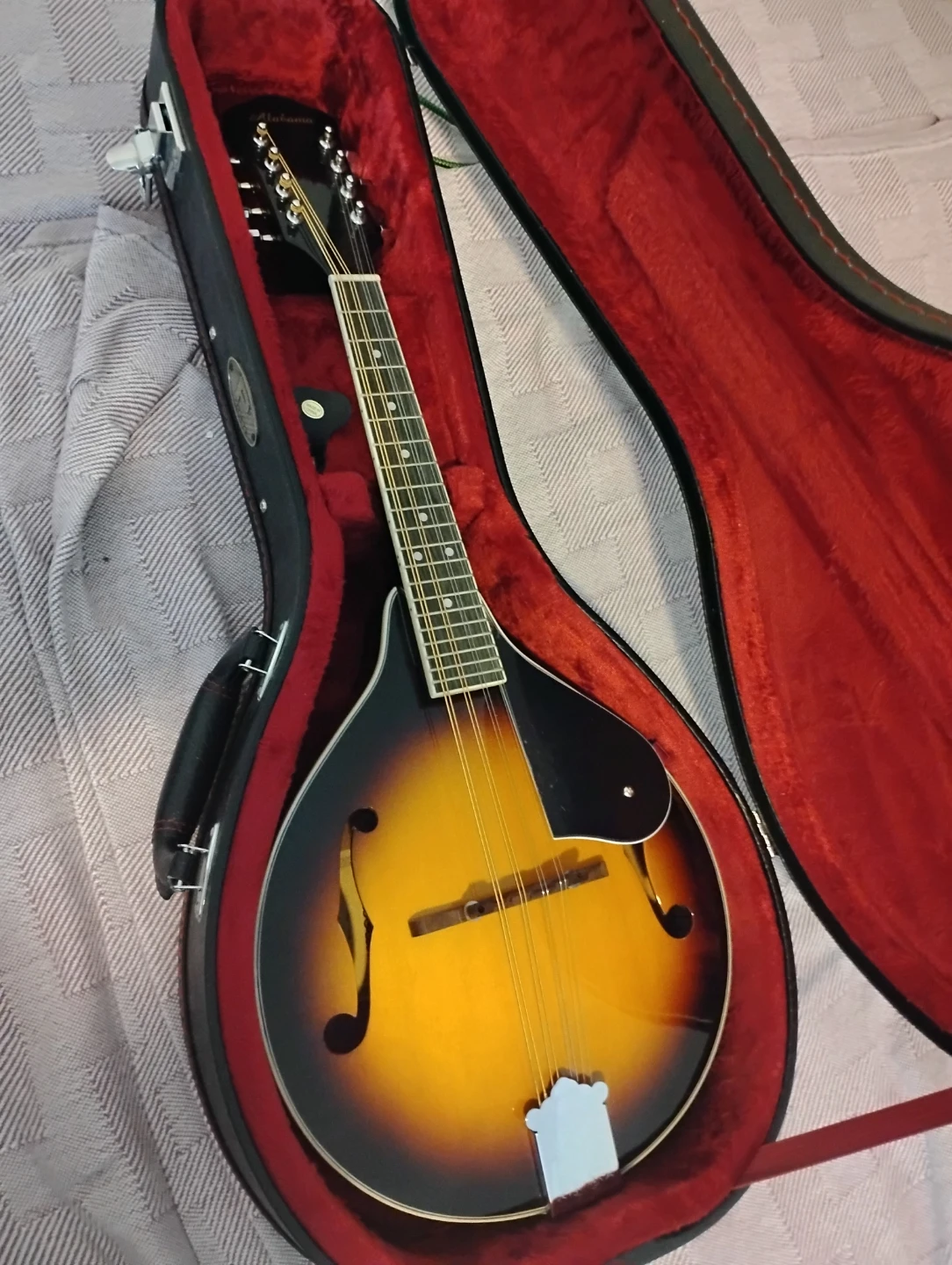 Alabama Mandolin