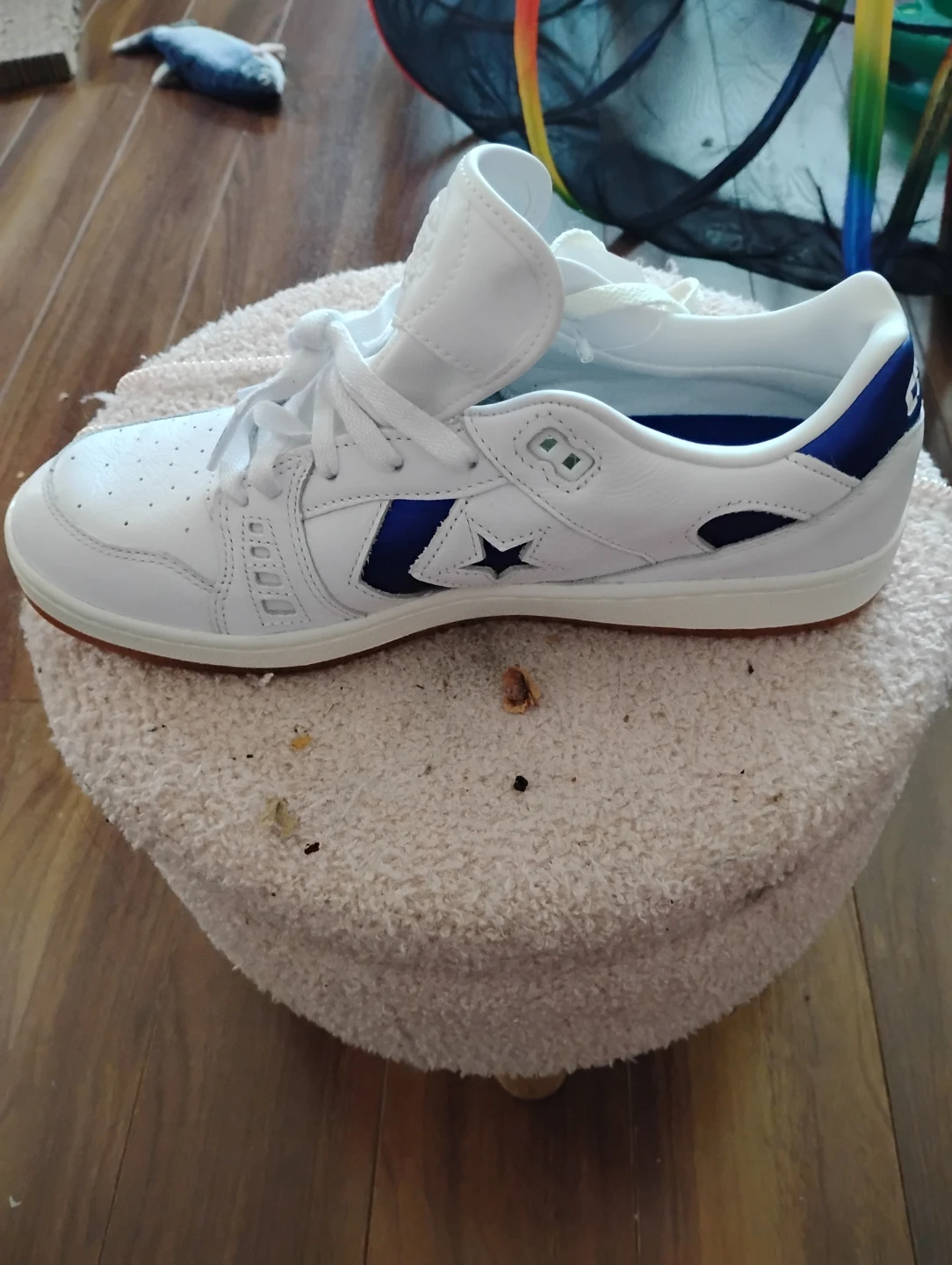 Converse(cons)Shoes