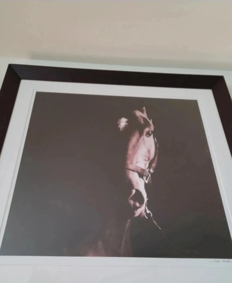 Framed Horse Portrait Wall Art