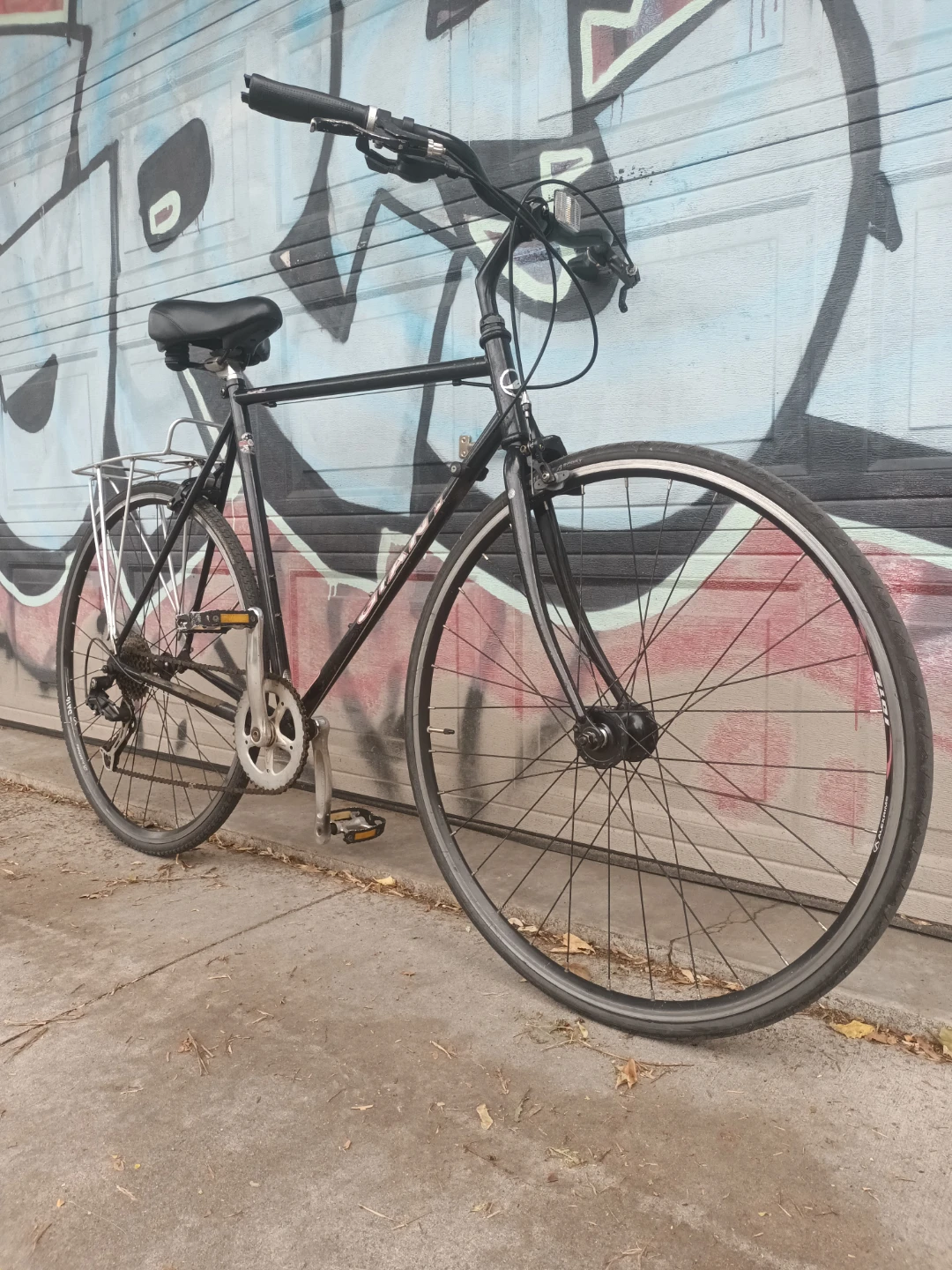 Giant Kronos Bike