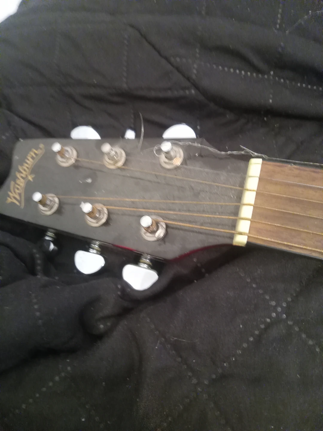 Washburn D-10 M Acoustic Guitar