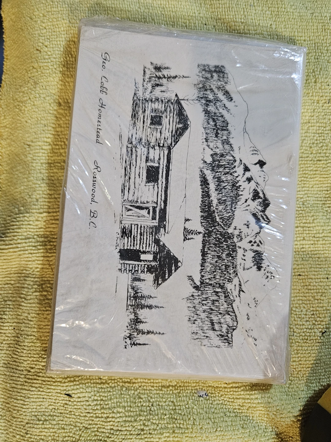 Geo. Cobb Homestead Postcards Rosswood B.C. - photo 2
