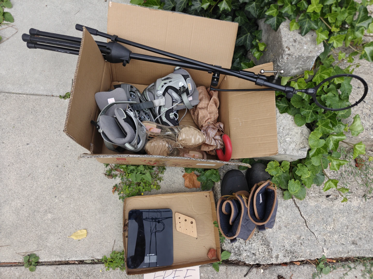 Free assorted things