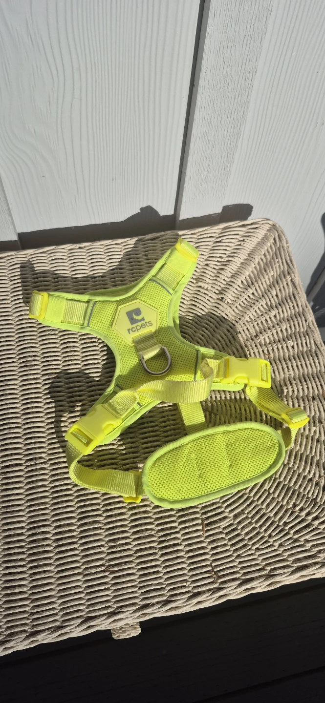 RC Pet Products Dog Harness - Bright Yellow - Large