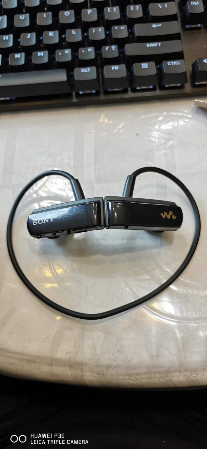 Sony NWZ-W252 Walkman MP3 Player