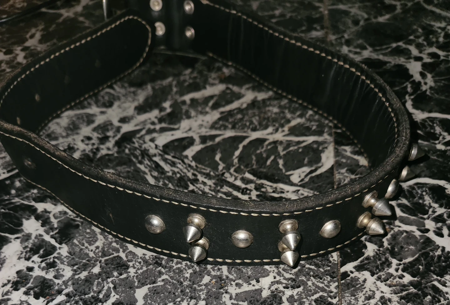 Black Leather Spiked Dog Collar