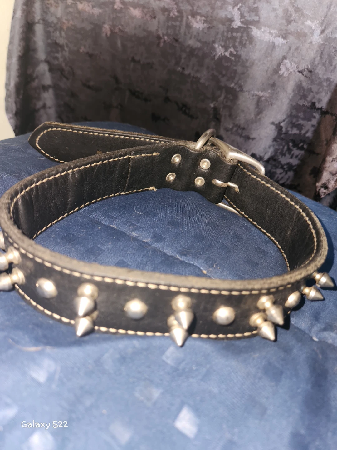 Black Leather Spiked Dog Collar - photo 2
