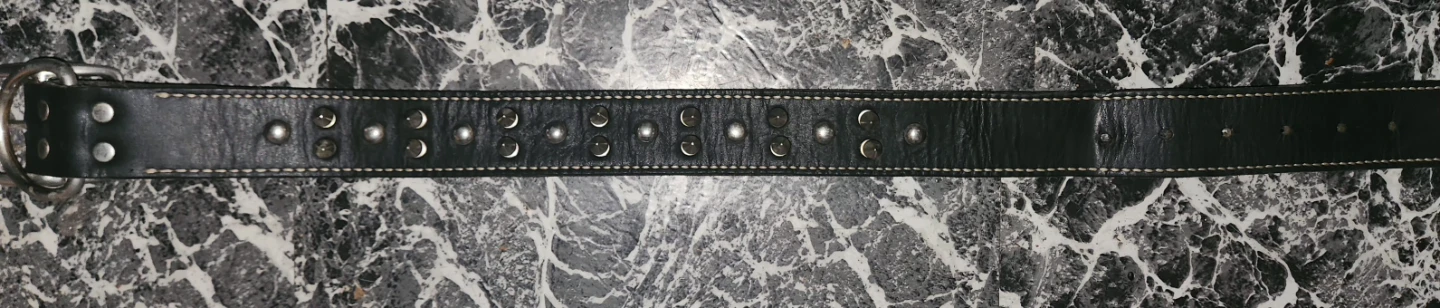 Black Leather Spiked Dog Collar - photo 4