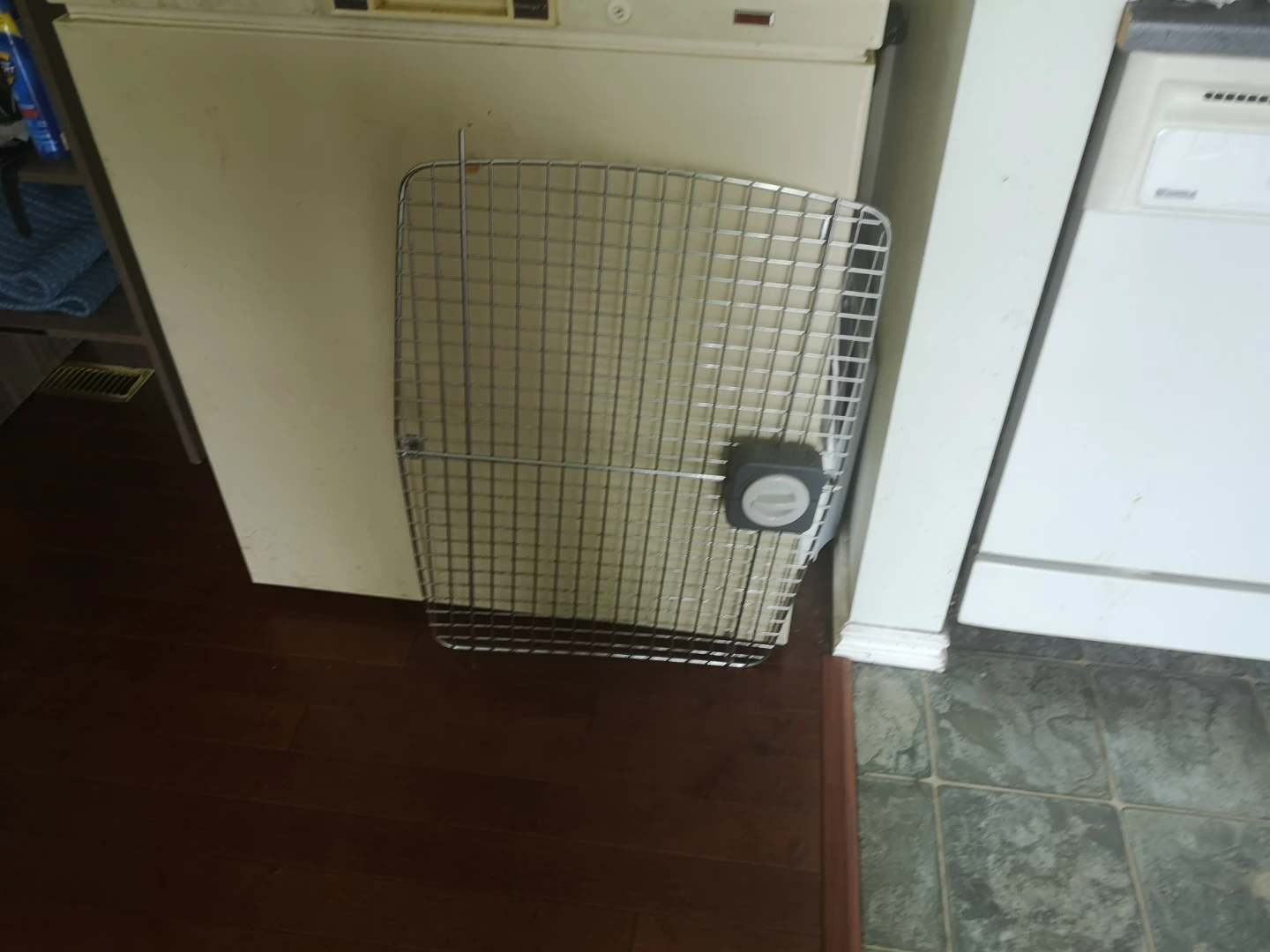 Large dog crate