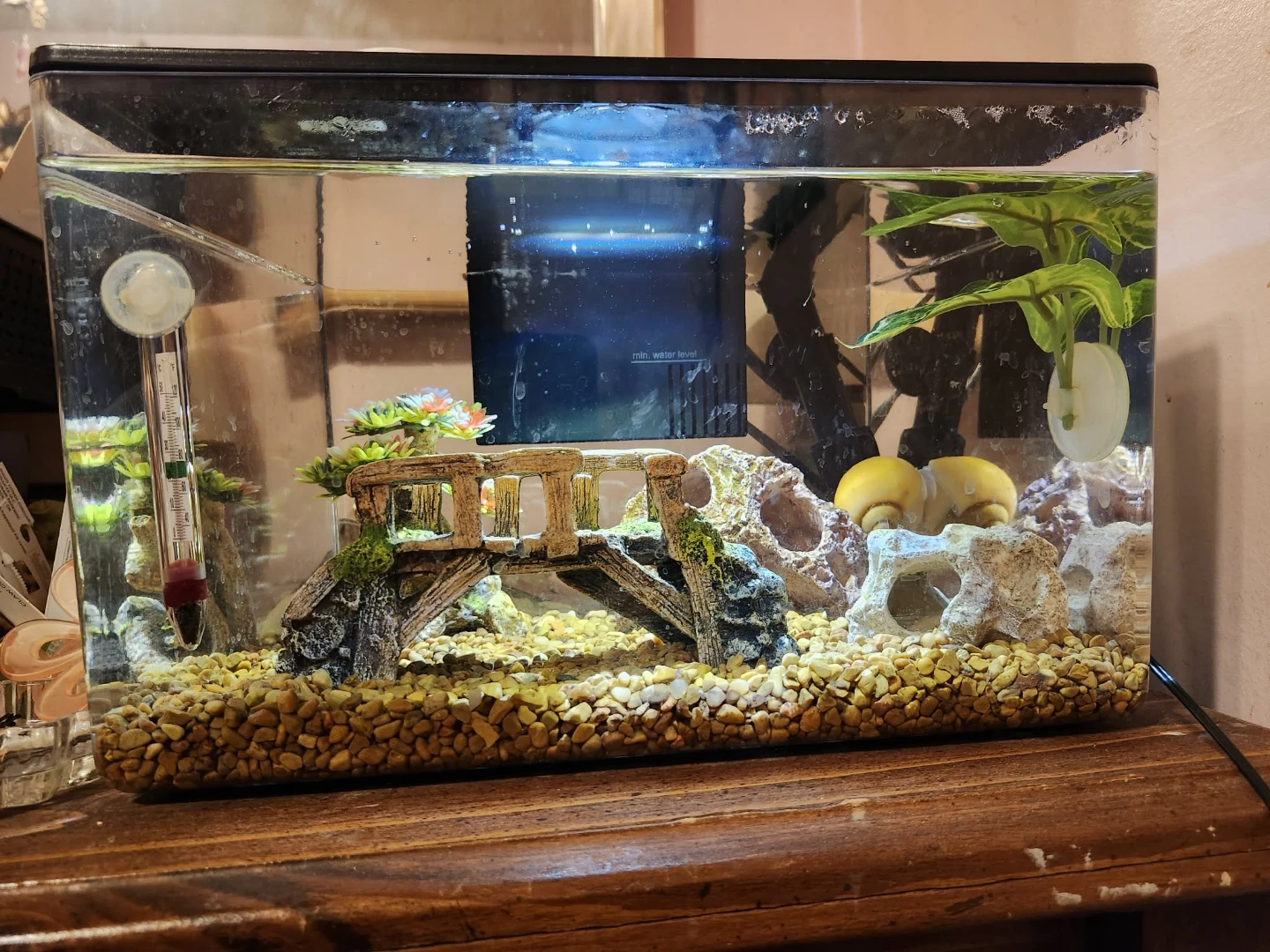 Top Fin Fish Bundle - photo 3