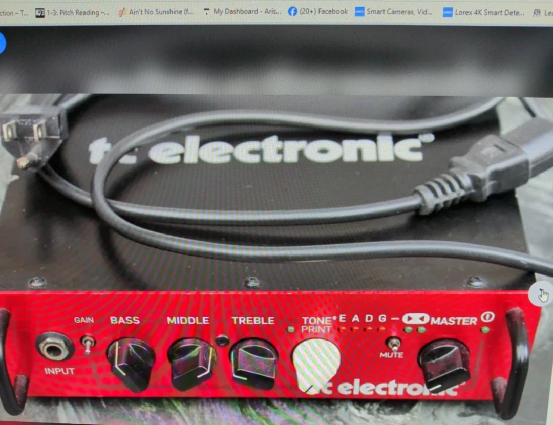 TC Electronic BH250 Bass head 250 Watts