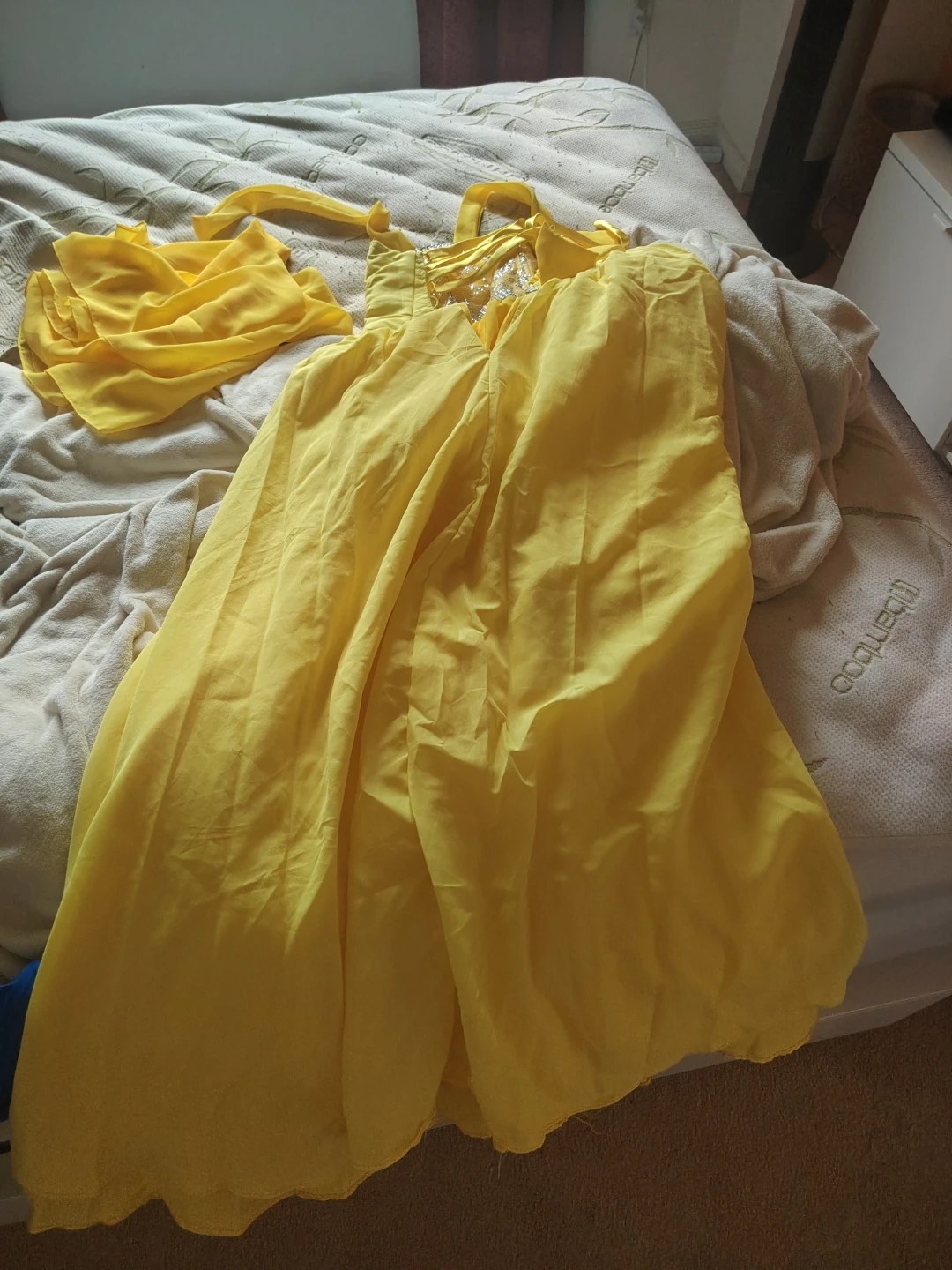 Yellow and Blue Costume Dress