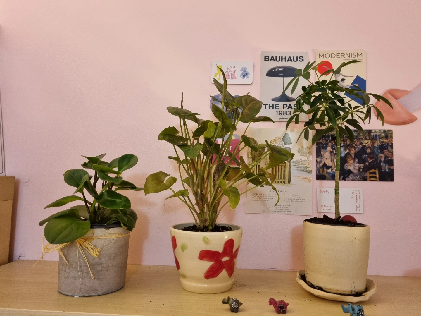 Plants with pots!
