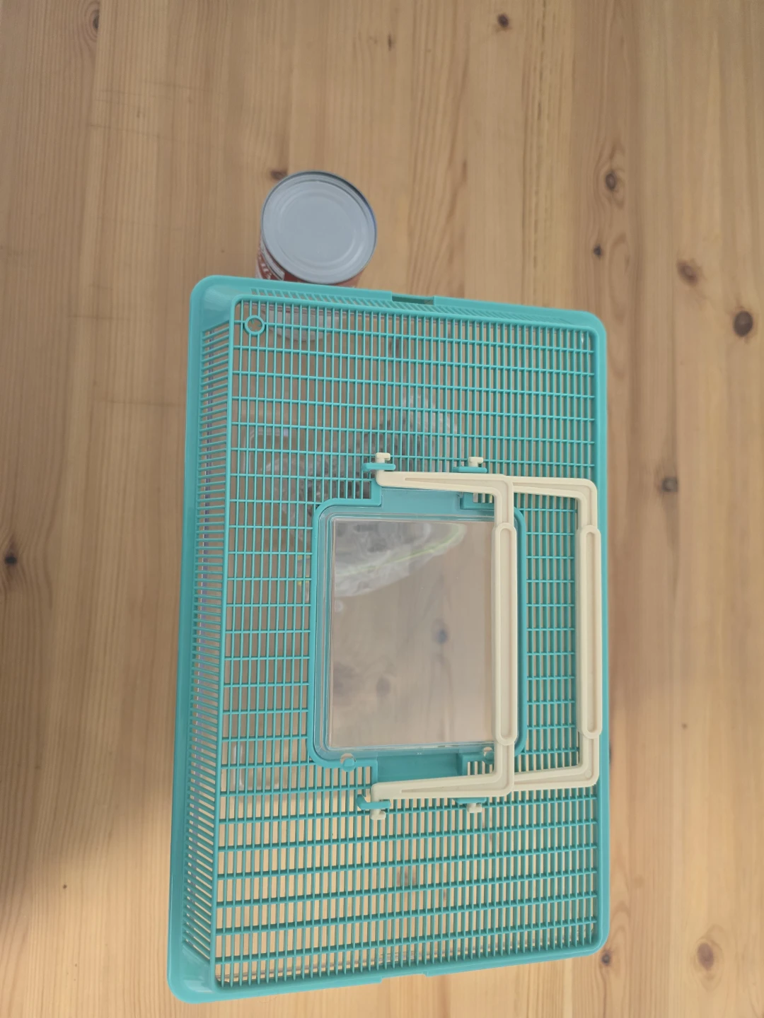 Clear Critter Habitat with Teal Lid - photo 2