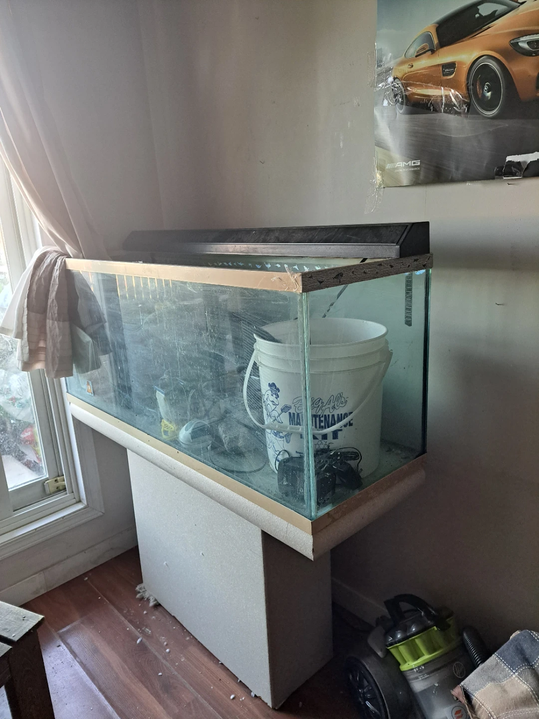 aquarium - photo 3