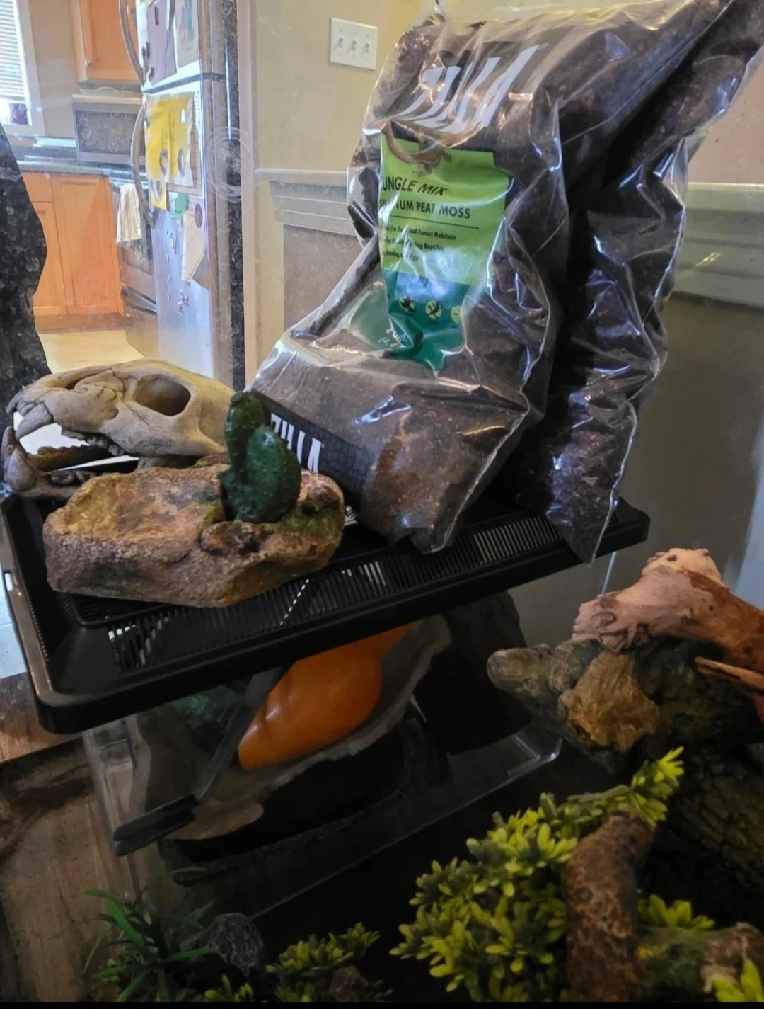 Zilla Terrarium with Accessories - photo 4