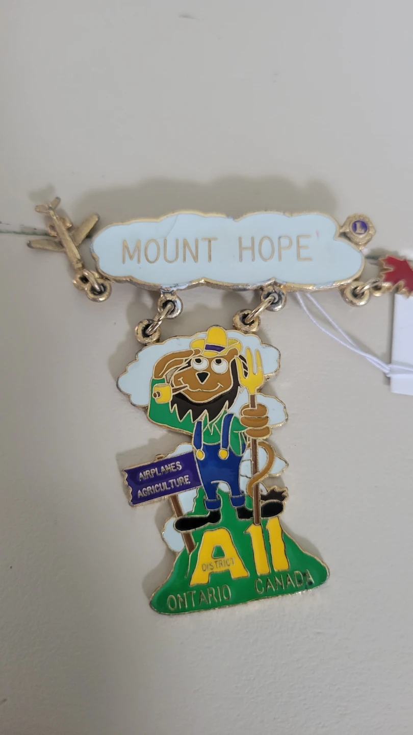 Vintage Mount Hope Ontario Canada Souvenir Pin