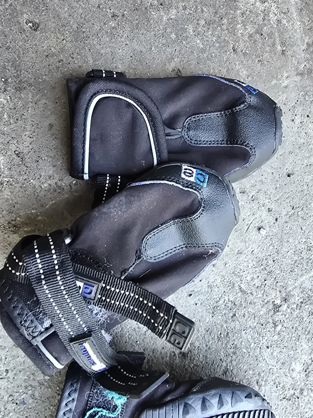 Pair of Black Dog Boots - Size Large - photo 2