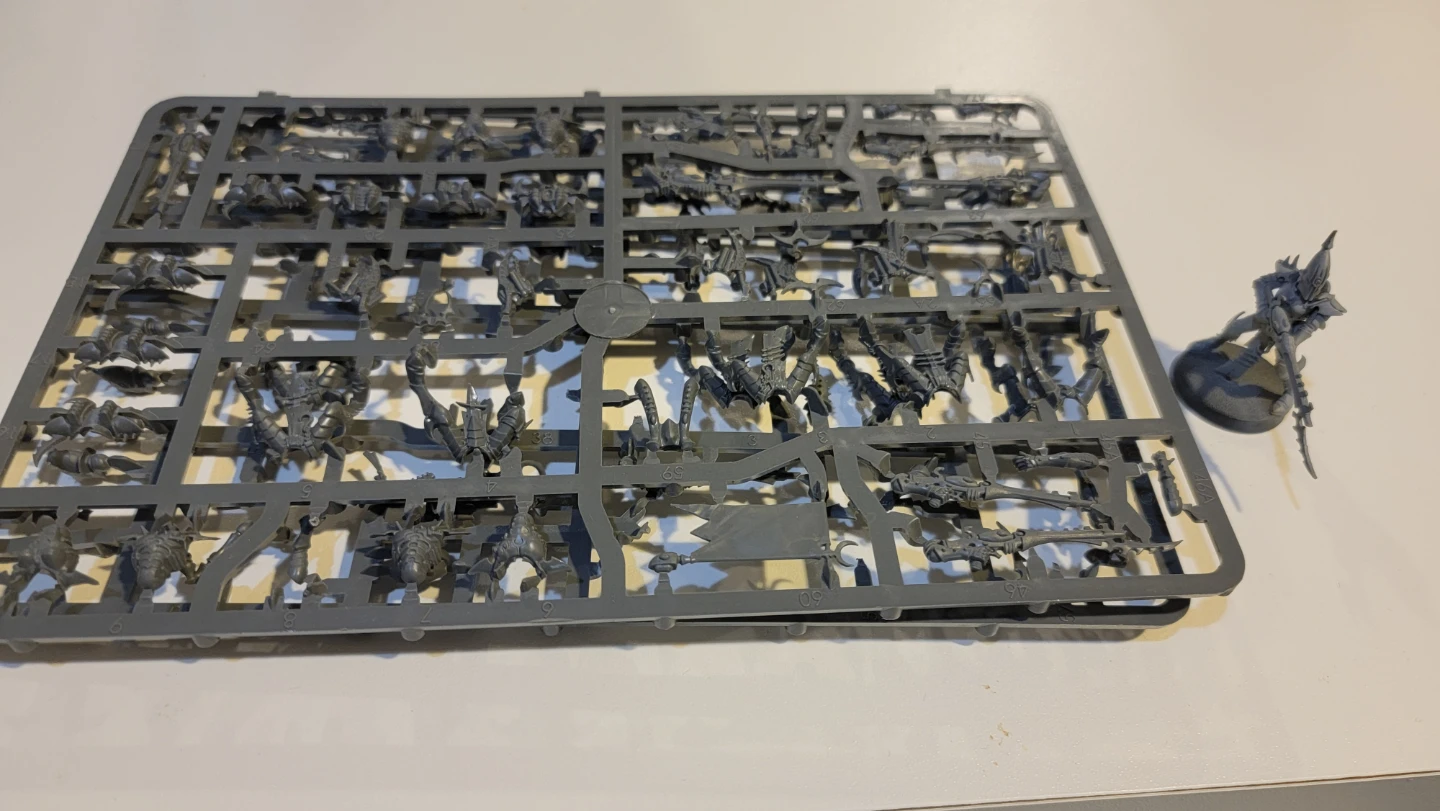 Warhammer 40k - Drukhari  - Kaballite Warriors NOS -1
