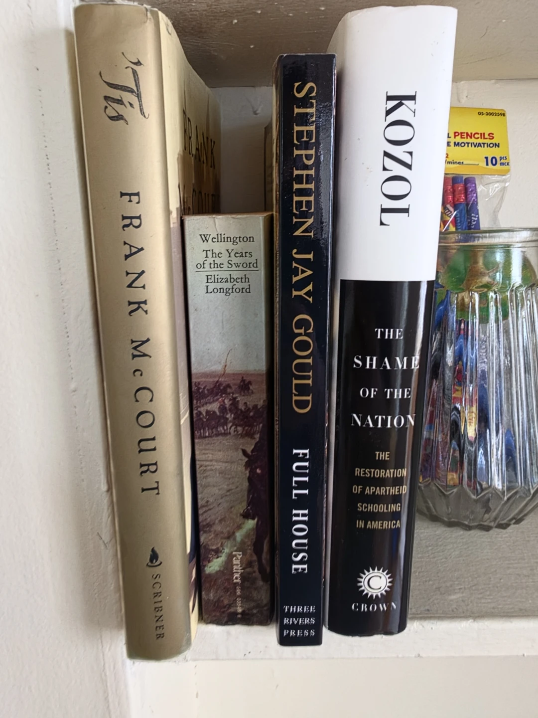 10 for All! BULK BOOK LOT: Frank McCourt, Stephen Jay Gould - photo 2