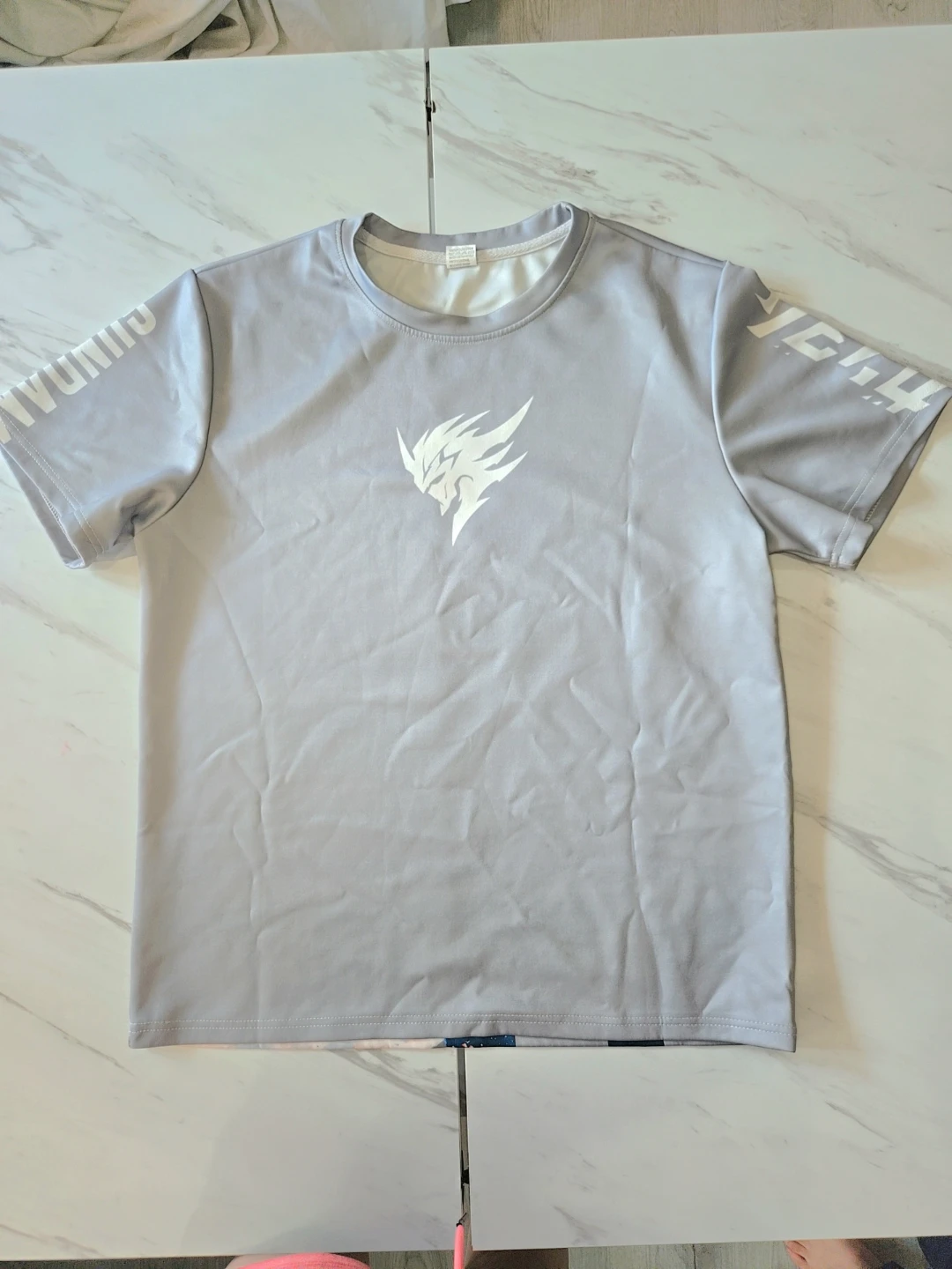 Gundam Graphic Anime Dry-Fit T-Shirt - Gray