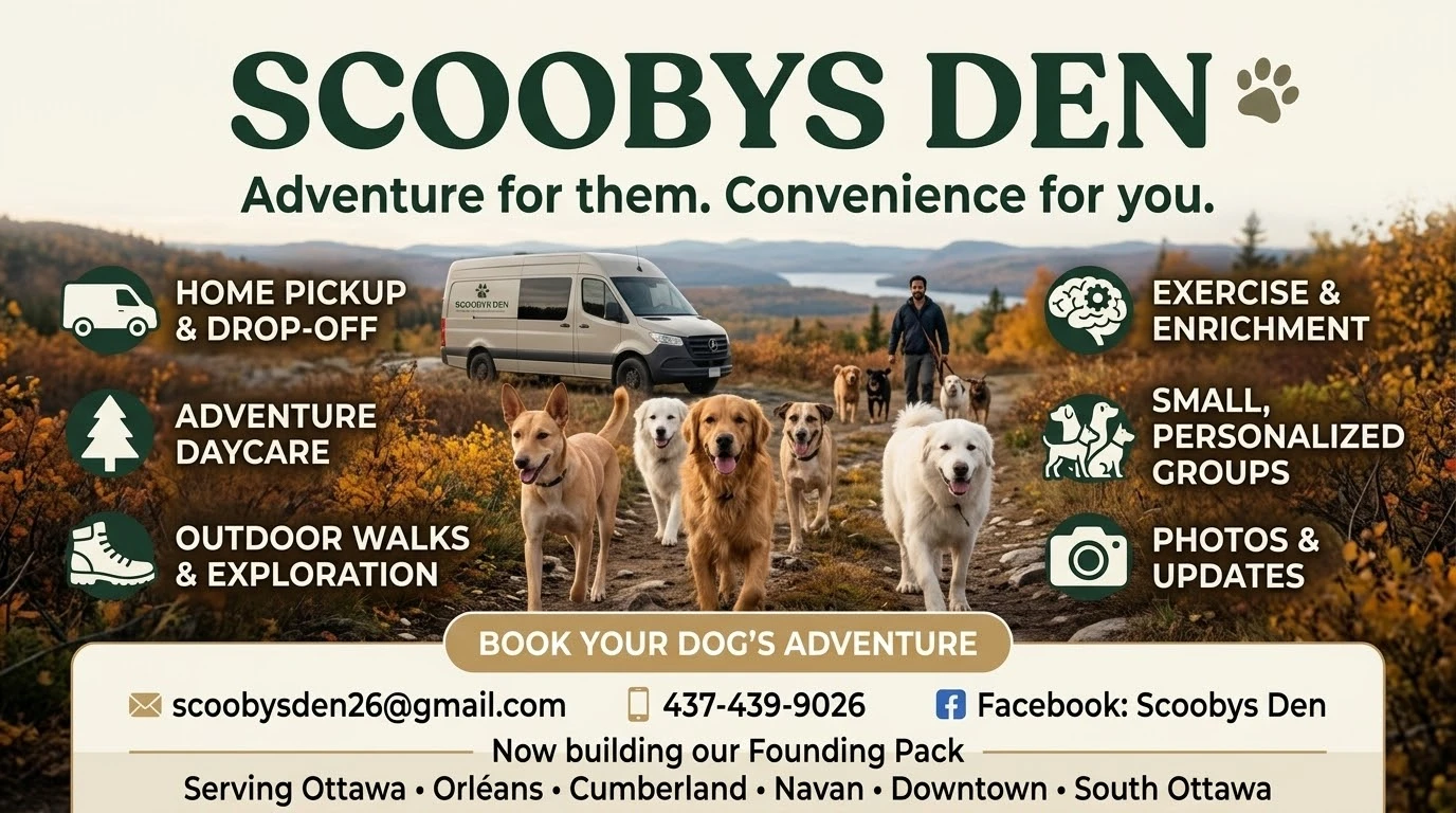 DOG ADVENTURE DAYCARE | PICKUP & DROP-OFF | OTTAWA