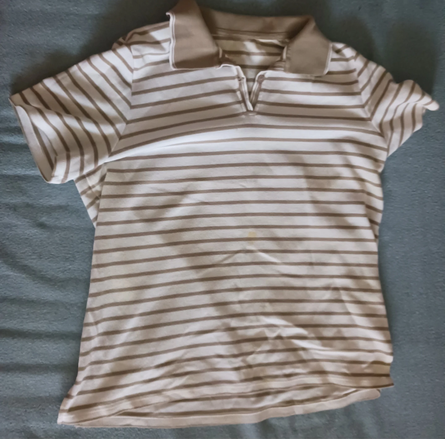 Allison Daley Striped Polo Shirt